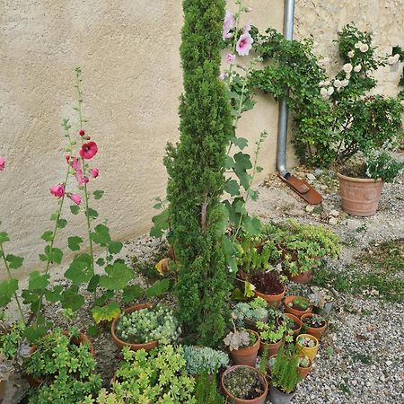 Charmant Logement A La Campagne Gazaupouy Экстерьер фото